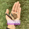 Copaiba