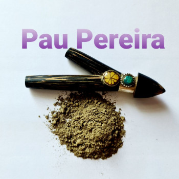 Pau Pereira