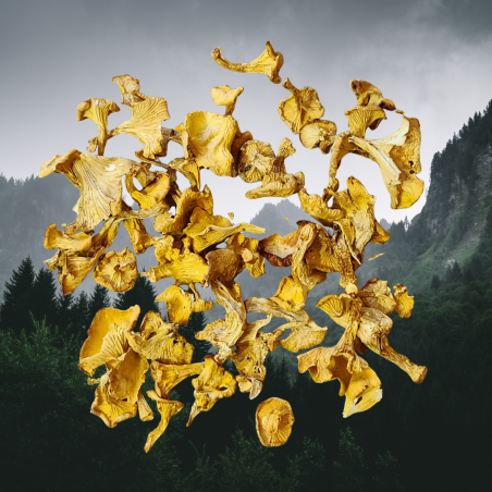 Лисичка звичайна