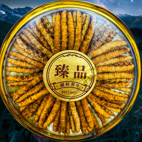 Дикий кордицепс (плодові тіла)