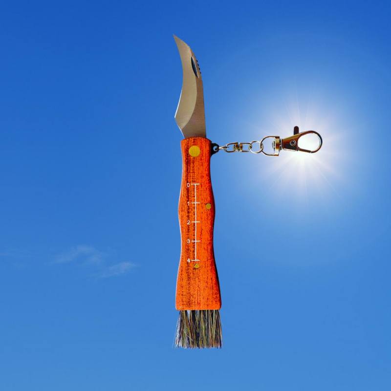 Ніж грибника складний