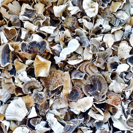 Набір «Імунний щит»