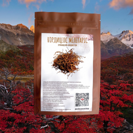 Кордицепс (міцелій+тіла)