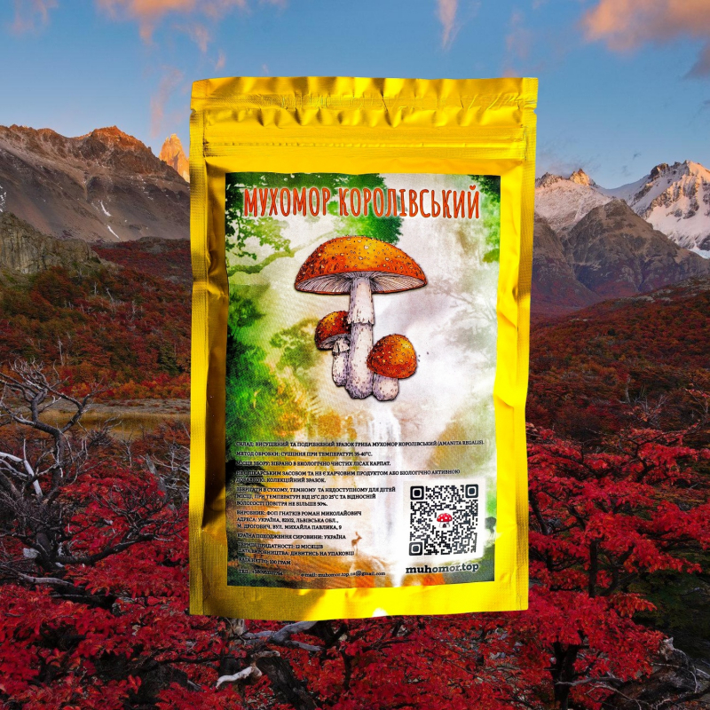 Королівський мухомор — мелений 🍄