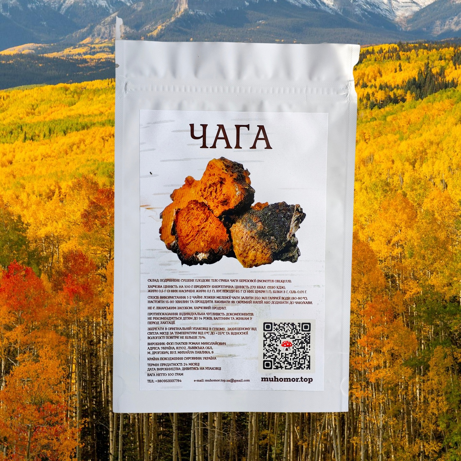 Чага (мелена)