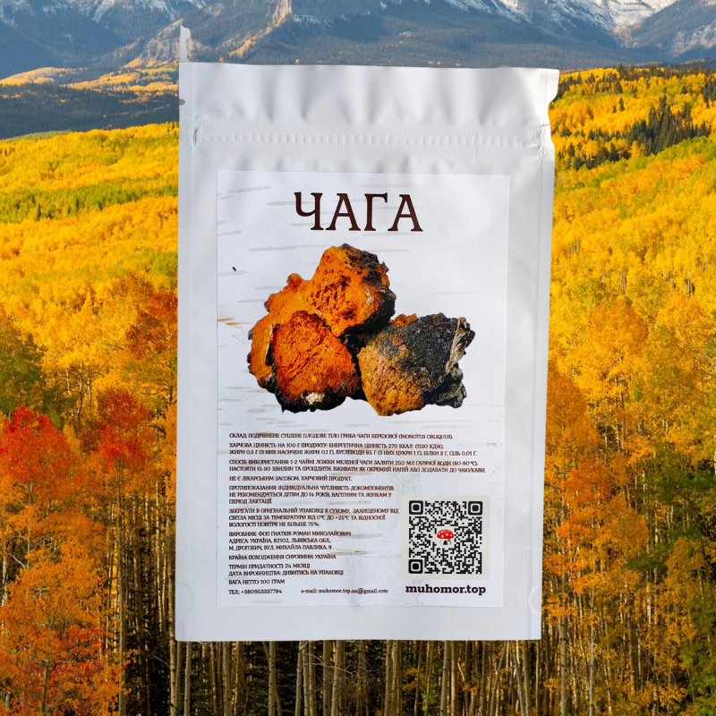 Чага (мелена)