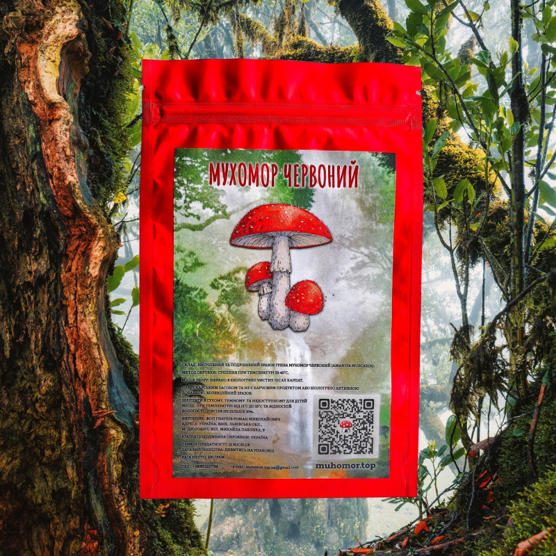 Червоний мухомор — мелений 🍄