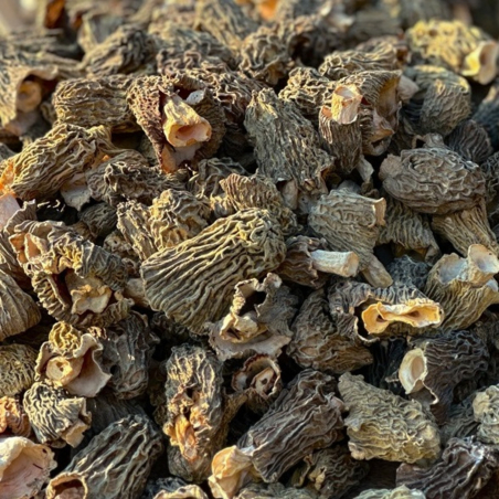 Зморшкова шапинка